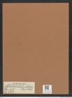 Asteromphalus stellatus (Grev.) Ralfs. (de-Toni-Nr.: Genus 236, Species 5692) Zeichnungen Sammlung Grunow Mappe 05406 (Herbarium_W_Grunow_drawings_Folder_05406)